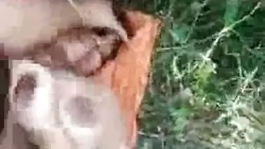 Dehati outdoor nude MMS video