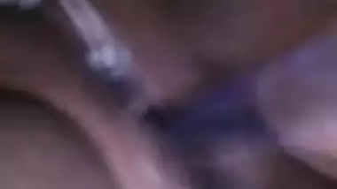 Brown chick 22
